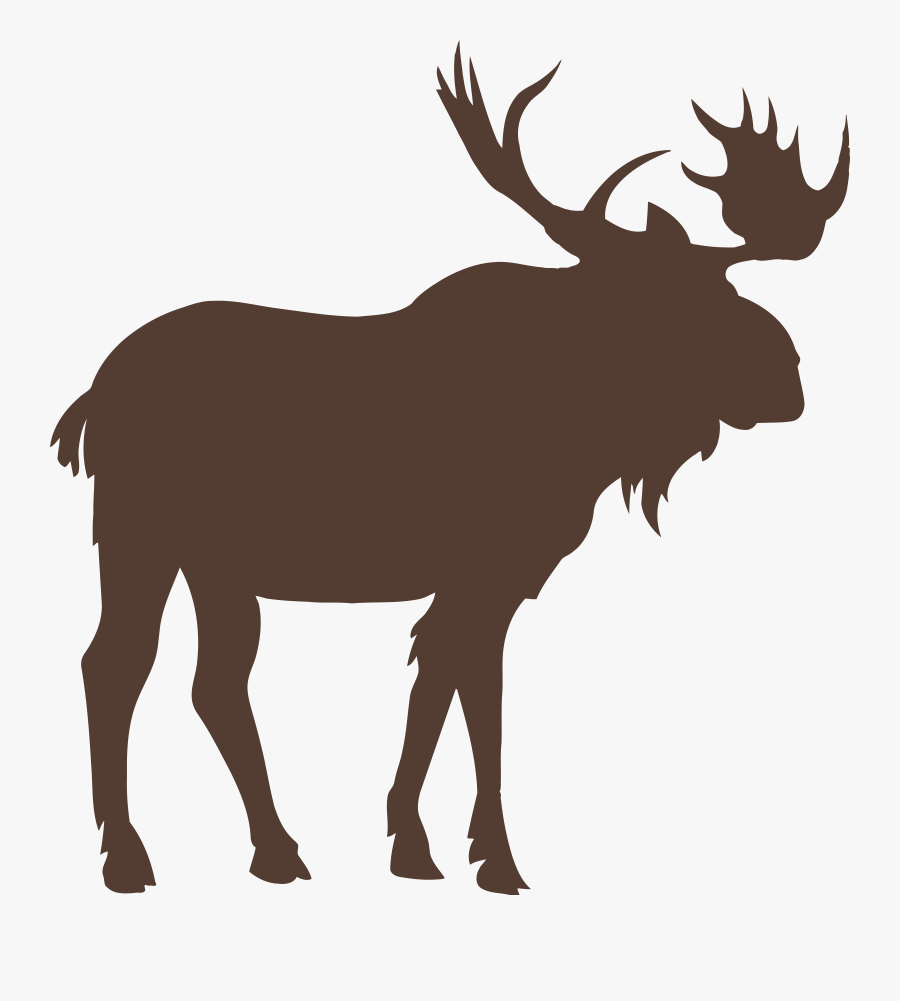 Moose Vector Graphics Royalty-free Stock Photography - Moose Vector, Transparent Clipart