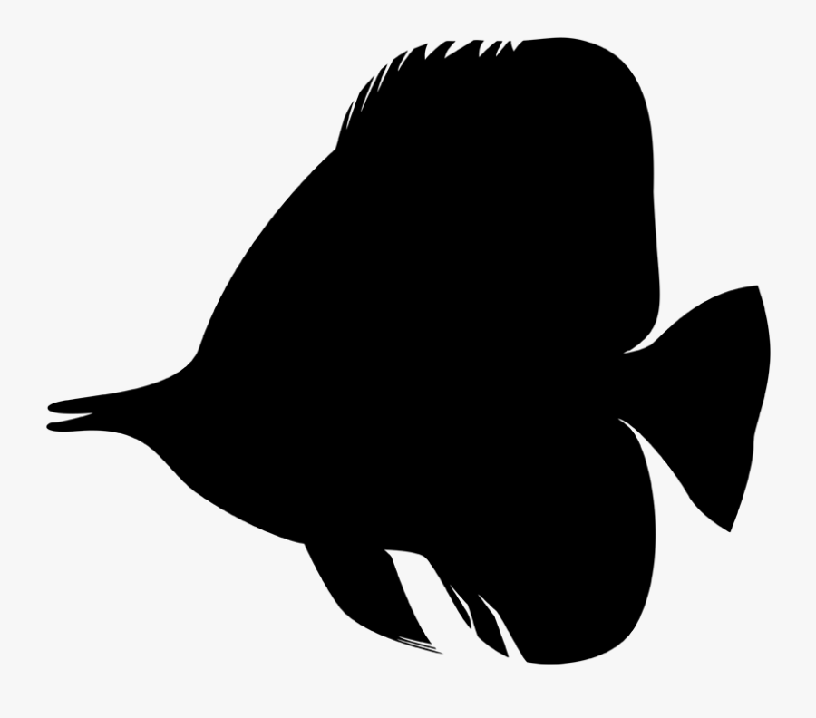 Beak Clip Art Fauna Silhouette Fish - Coral Reef Fish, Transparent Clipart