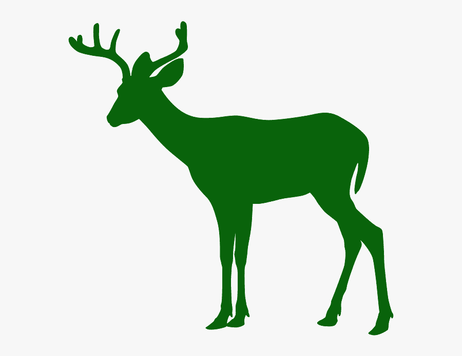 Whitetail Deer Deer Silhouette Clipart, Transparent Clipart