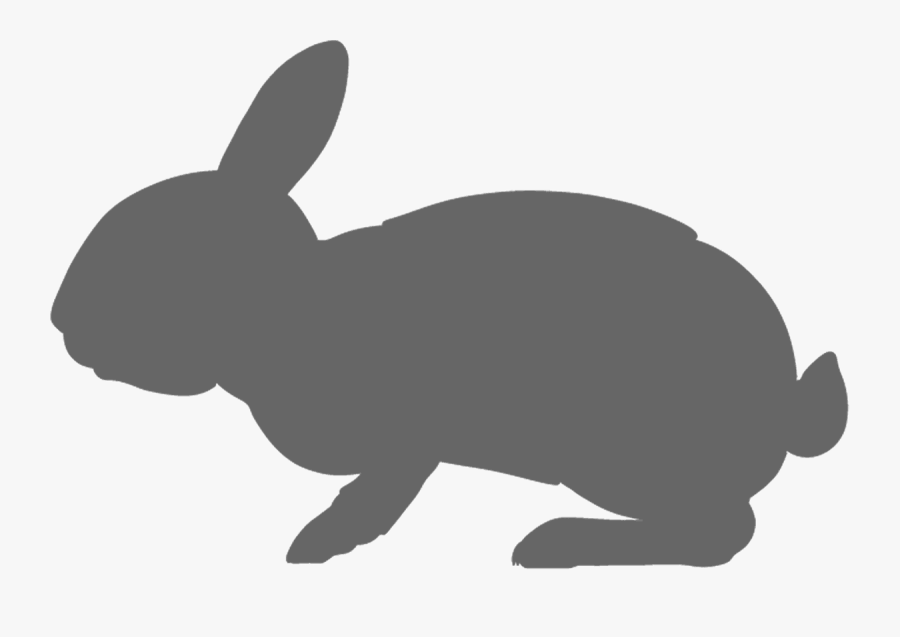 Transparent Rabbit Silhouette Png - Swamp Rabbit, Transparent Clipart