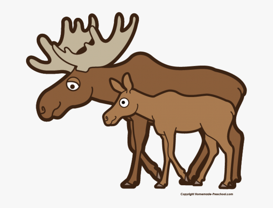 Moose Clipart Camping - Transparent Background Moose Clipart, Transparent Clipart
