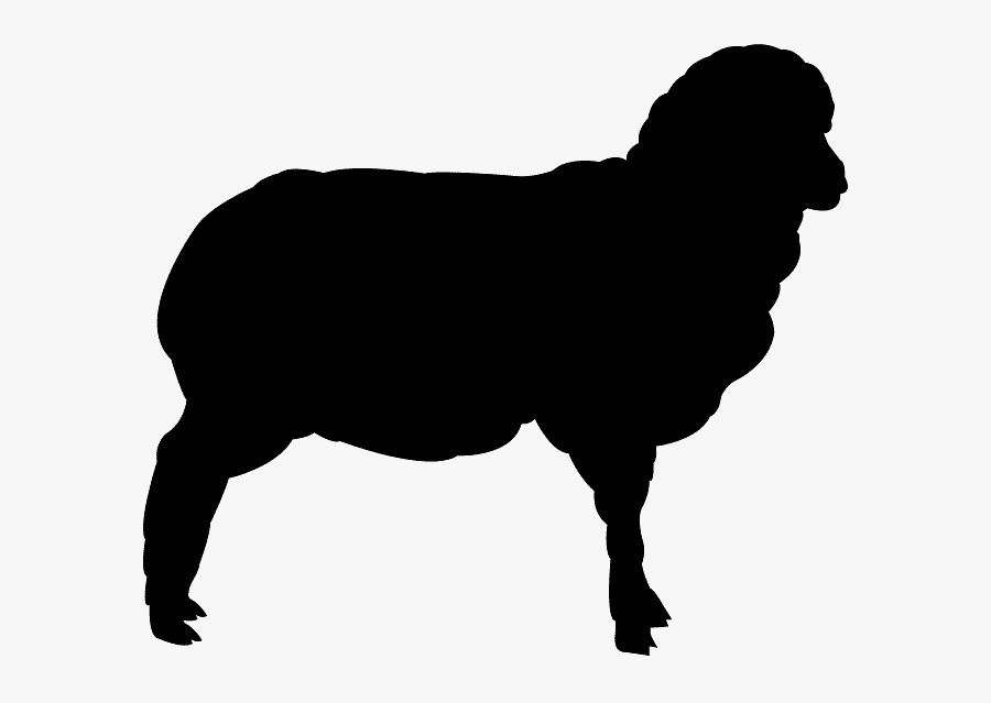 Carnivore Animals Silhouette Png, Transparent Clipart