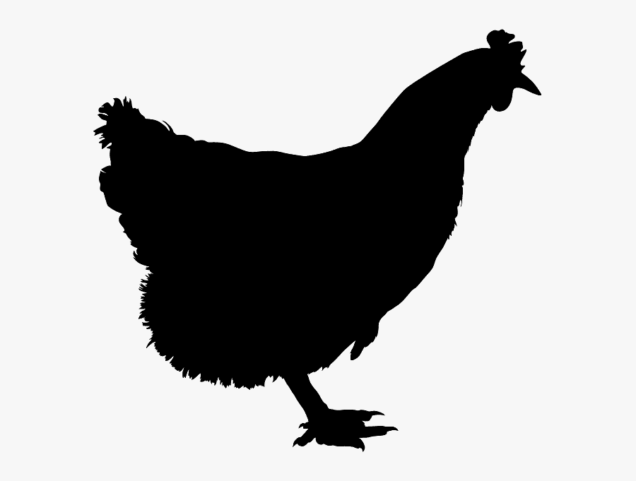 Silueta De Una Gallina, Transparent Clipart