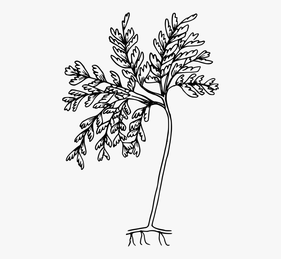 Drawing Doors Coloring Book - Coloring Pages, Transparent Clipart