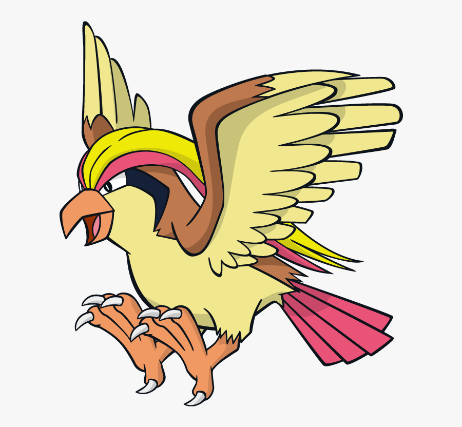 Pidgeot Pokemon Character Vector Art - Pokemon Pidgeot, Transparent Clipart