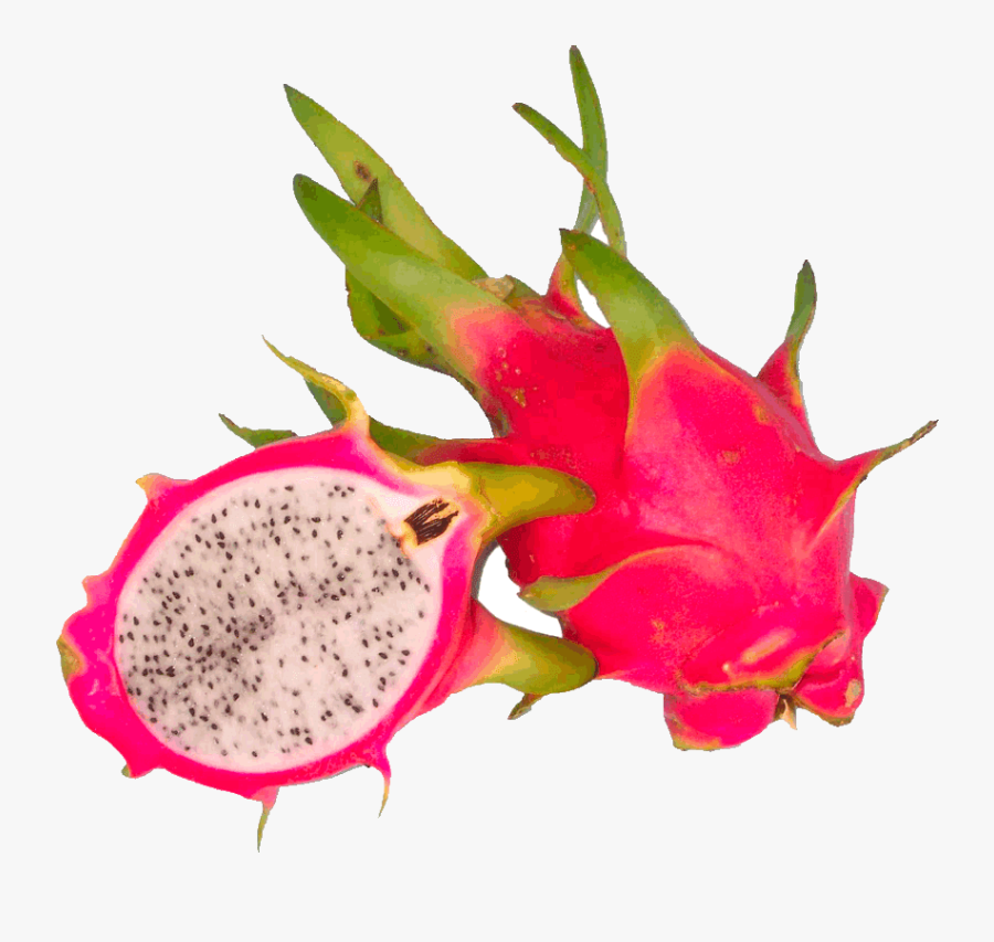 Dragon Fruit Clipart Free - Buah Naga Bahasa Arab, Transparent Clipart