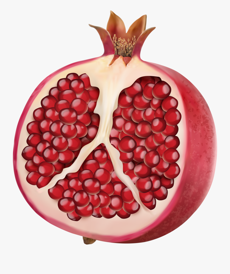 Fruit Clipart Pomegranate - Pomegranate Transparent, Transparent Clipart