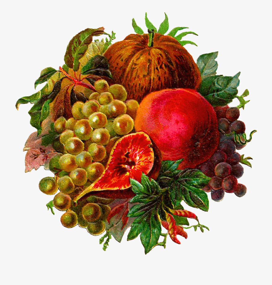 Apple, Transparent Clipart