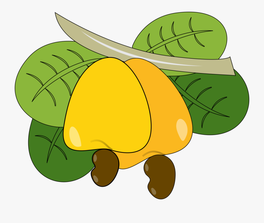 Cashew Yellow Nut Free Pnglogocoloring Pages - Cashew Fruit Clipart, Transparent Clipart