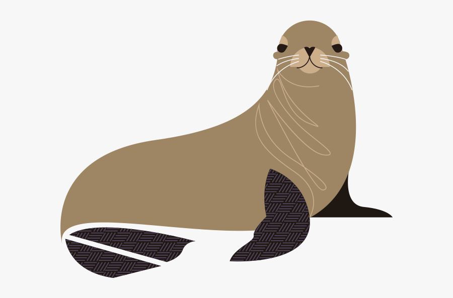 California Sea Lion, Transparent Clipart