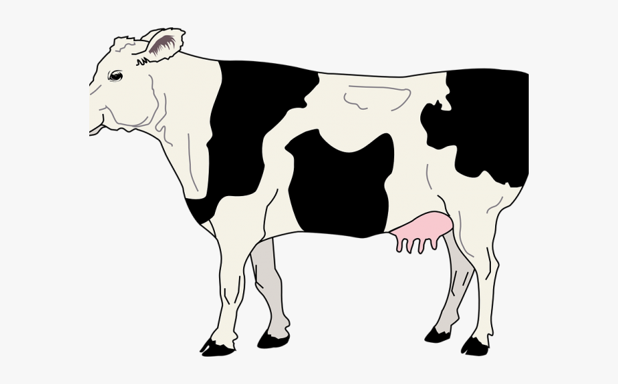 Cow Clipart, Transparent Clipart