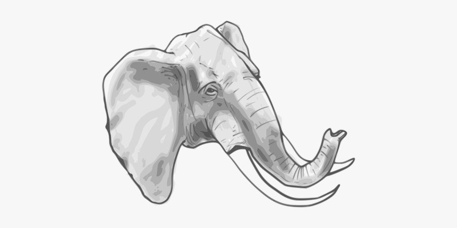 Outline Vector Graphics Of Elephant - Elephant Head Coloring Page, Transparent Clipart