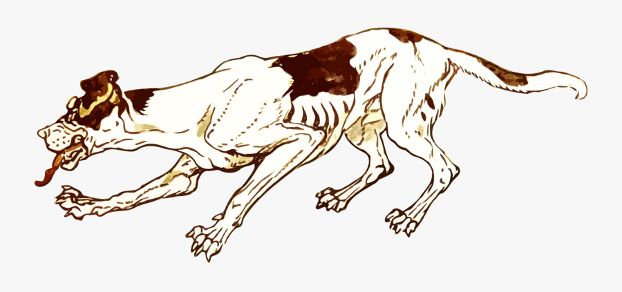 Art,carnivoran,lion - Portable Network Graphics, Transparent Clipart