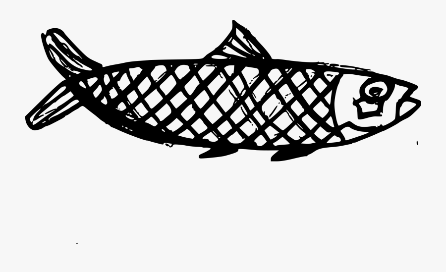 Fish Drawing Png, Transparent Clipart