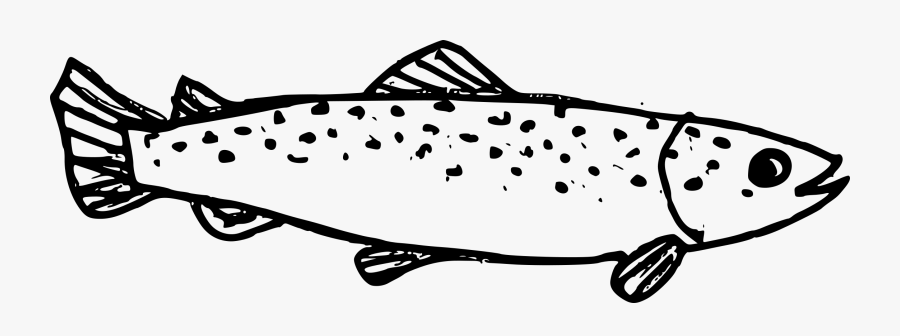 Fish Drawing Transparent, Transparent Clipart