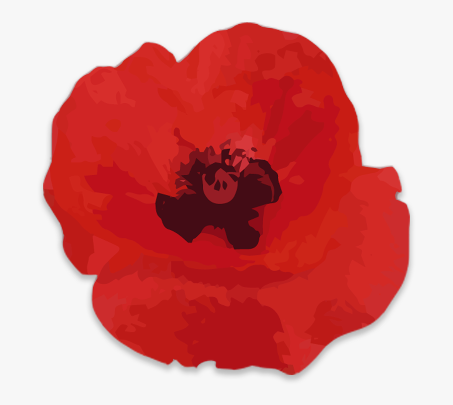 Poppy, Transparent Clipart