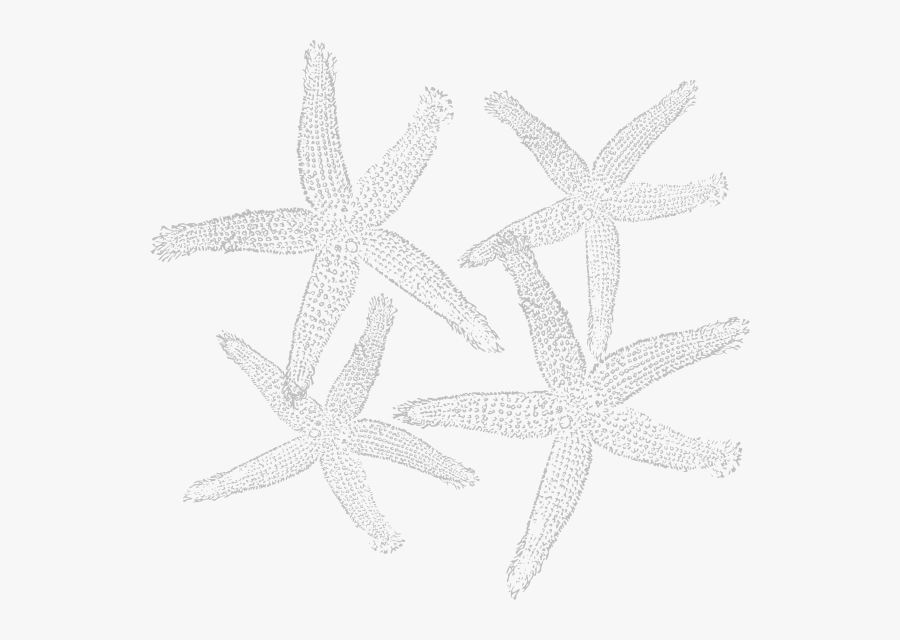 Grey Starfish Prints Svg Clip Arts - Fish Clip Art, Transparent Clipart
