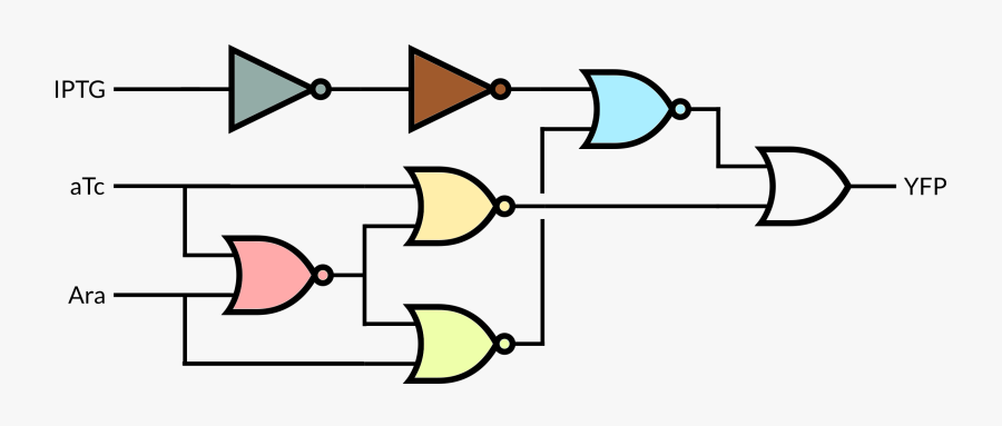 Nor, Transparent Clipart