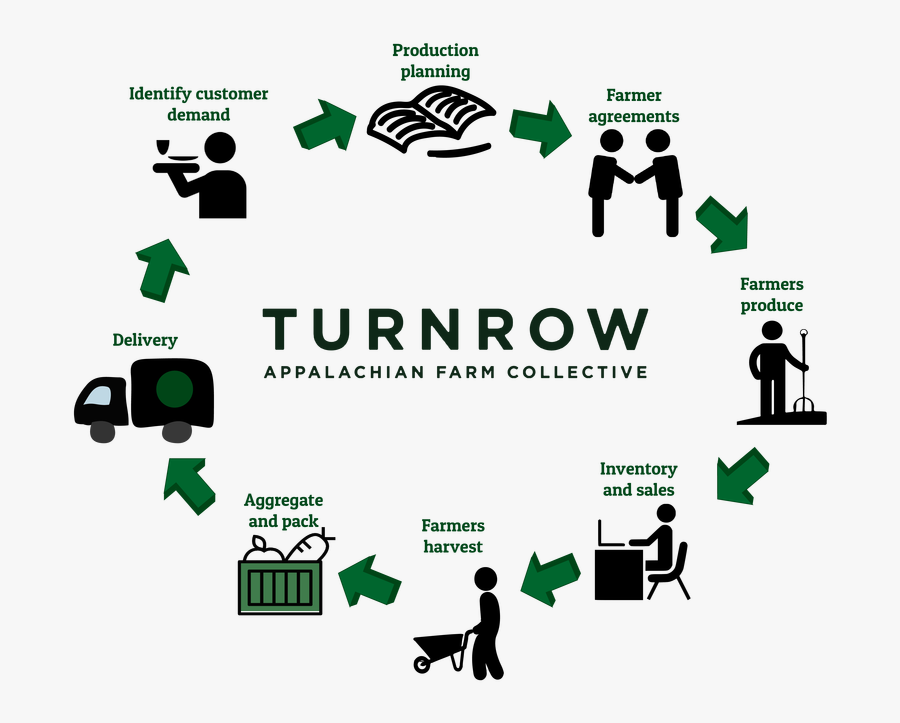 Picture - Illustration, Transparent Clipart