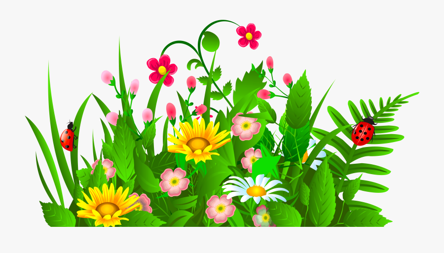 Have A Great Summer Clip Art, Transparent Clipart