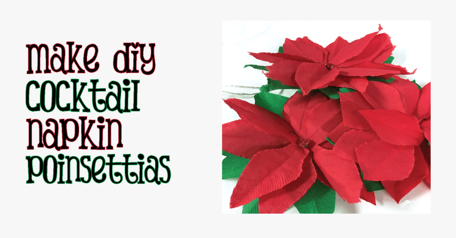 Teacher Appreciation Week 2011 - Poinsettia, Transparent Clipart