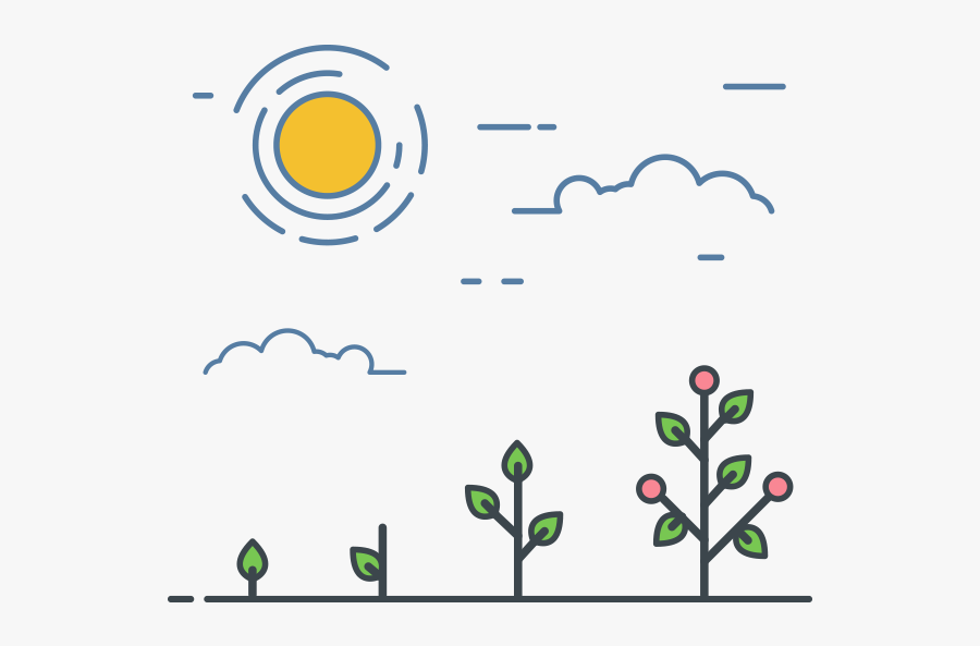 Tomato, Transparent Clipart