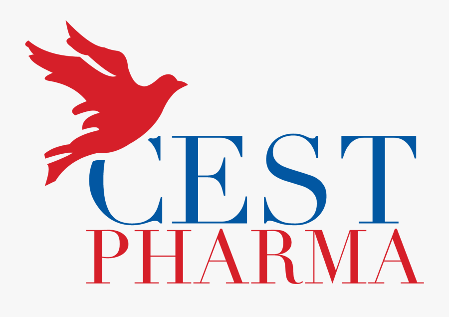 Cest Pharma - Something Borrowed Movie Poster, Transparent Clipart