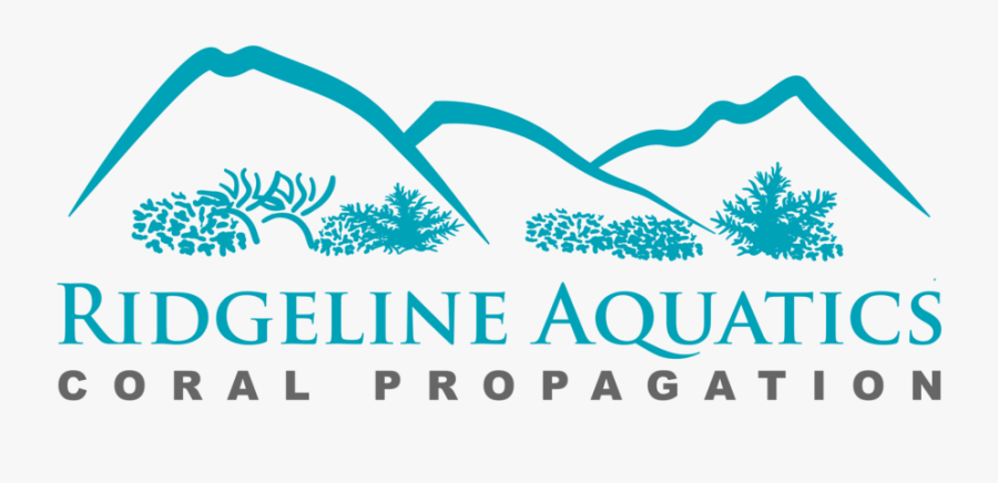 Clip Art Green Star Polyps - Grand Turk Island, Transparent Clipart