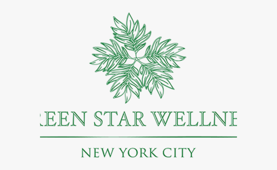 Line Art, Transparent Clipart