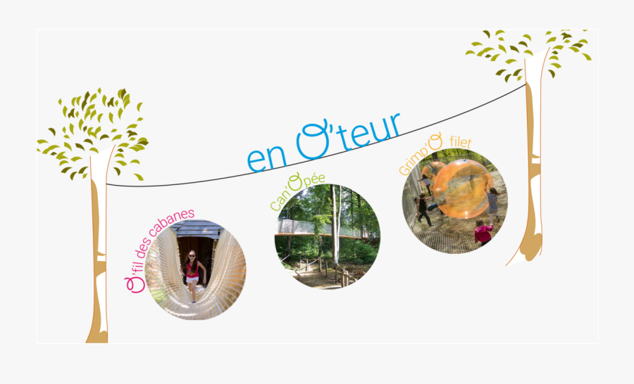 Product - Tree, Transparent Clipart