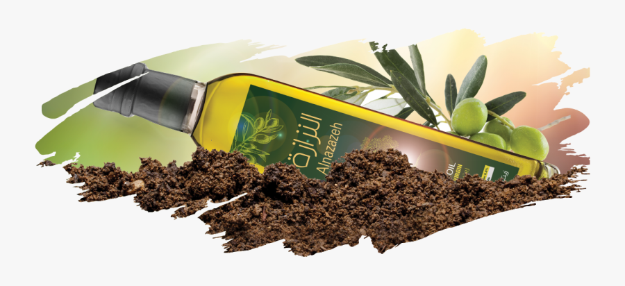 Caffeine, Transparent Clipart