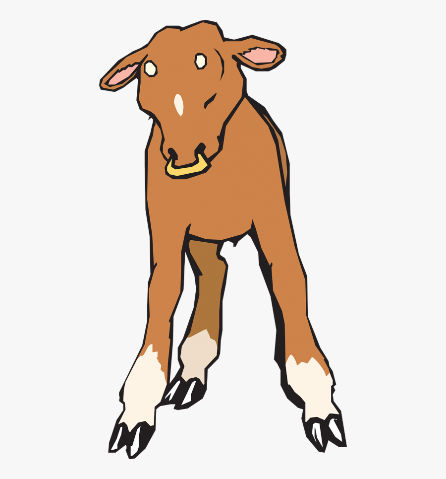 Baby Farm Ring - Calf, Transparent Clipart