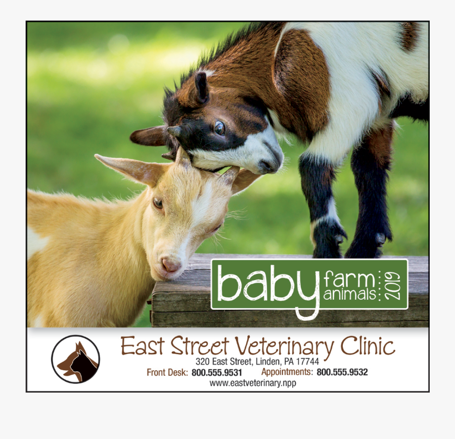 Pictures Of Baby Farm Animals - Donkey, Transparent Clipart