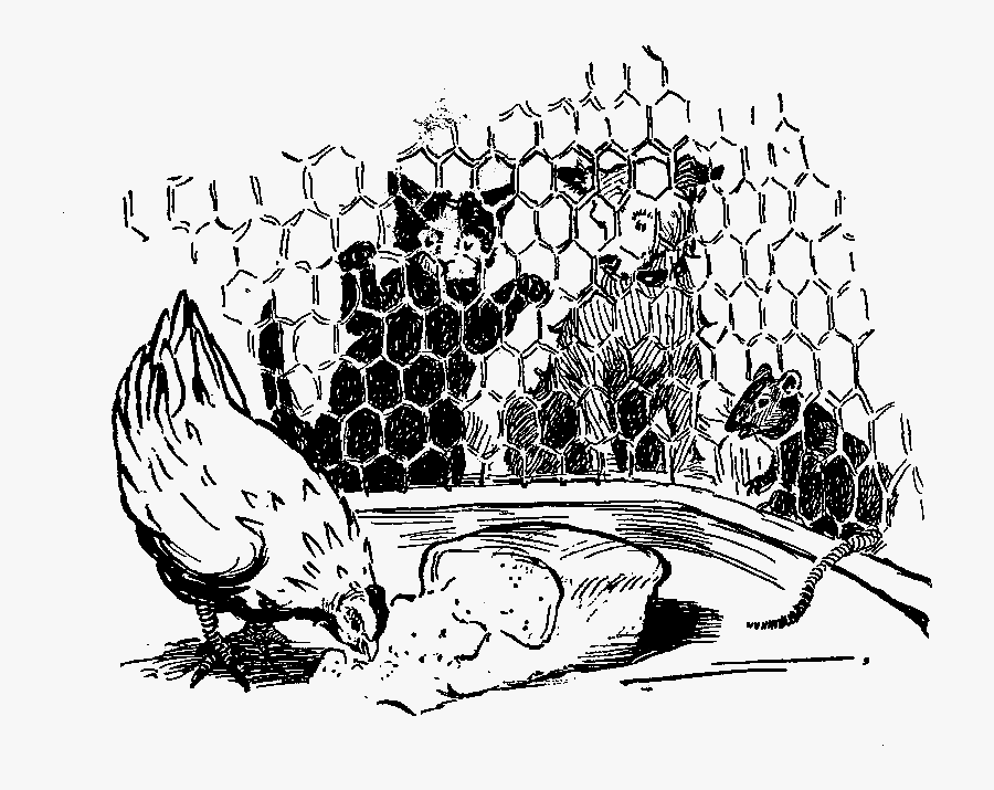 Hen Eating Bread Black And White, Transparent Clipart