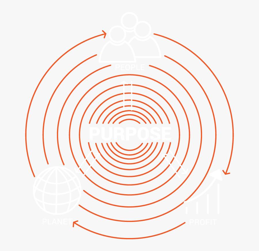 Circle, Transparent Clipart