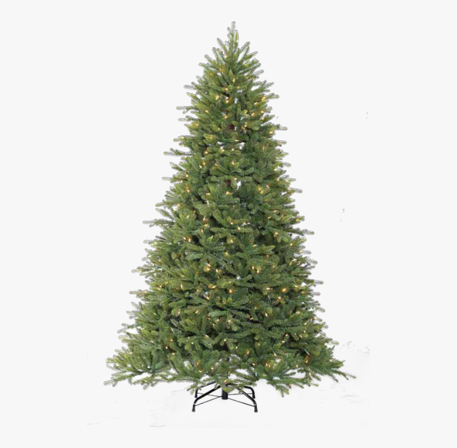National Tree Company Dunhill Fir, Transparent Clipart