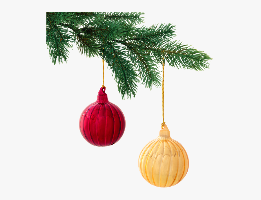 Christmas Fir Tree Png, Transparent Clipart