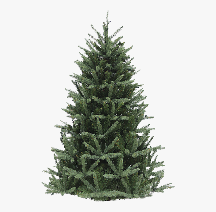 Christmas Tree, Transparent Clipart