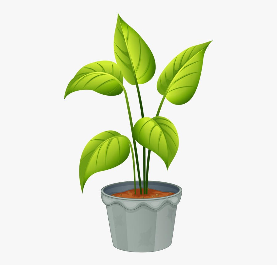 Green Home Plant - Potted Plant Clip Art, Transparent Clipart