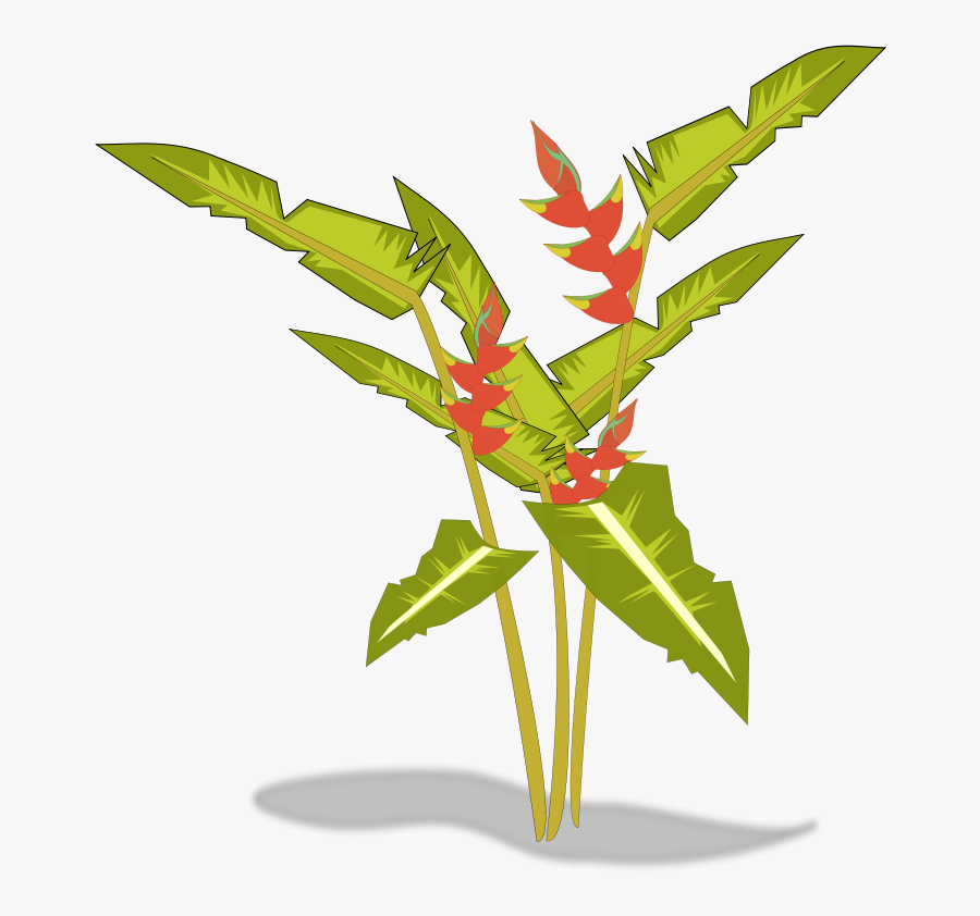 Free To Use Public Domain Plants Clip Art - Heliconia Clipart, Transparent Clipart