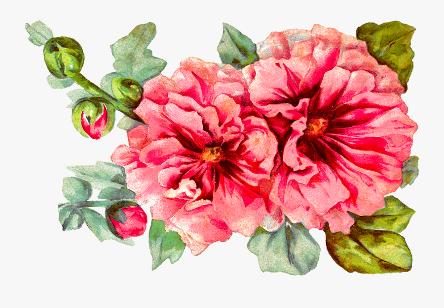 Flower Watercolor Floral Craft Supply Peony Plant Digital - Digital Watercolor Peony, Transparent Clipart