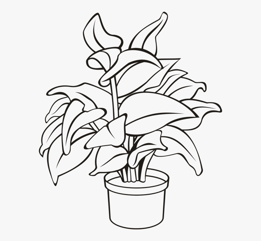 Line Art,plant,flora - Potted Plant Line Drawing, Transparent Clipart