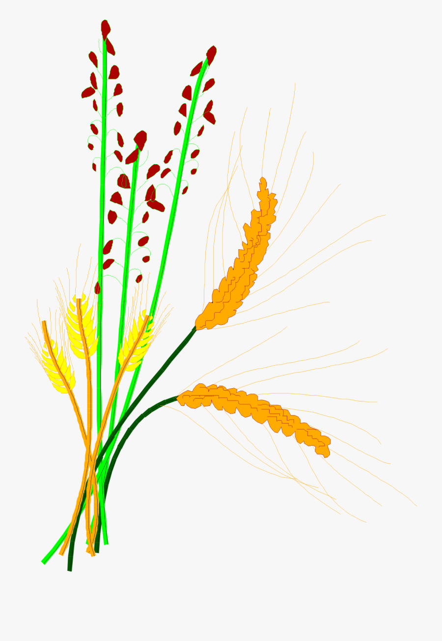 Cereal Clipart Rice Plant - Rice, Transparent Clipart