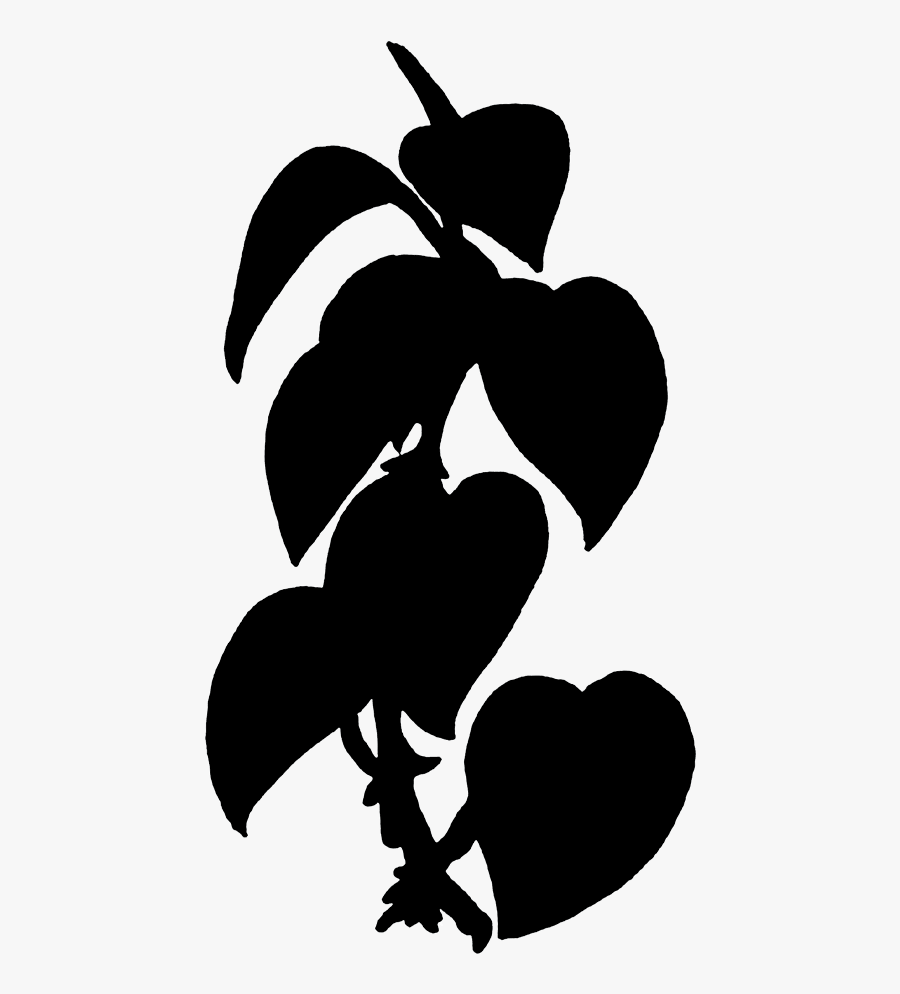 Black Ivy - Black Plants Clip Art, Transparent Clipart