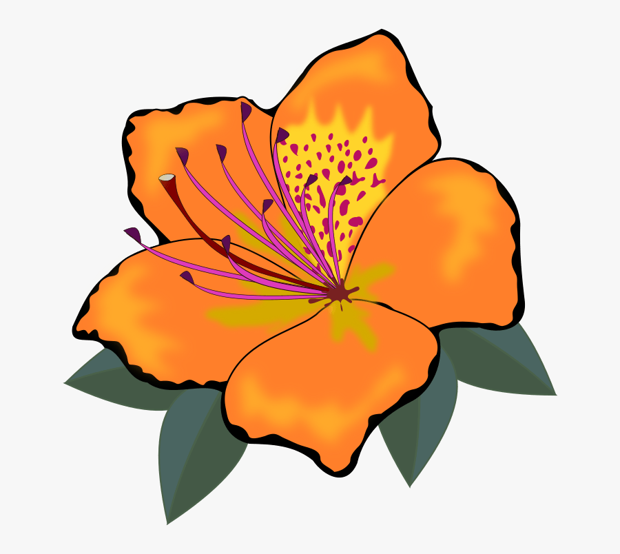 Clip Art, Flor, Flora, Flores, Flower, Nature, Plant - Orange Flower Clipart, Transparent Clipart