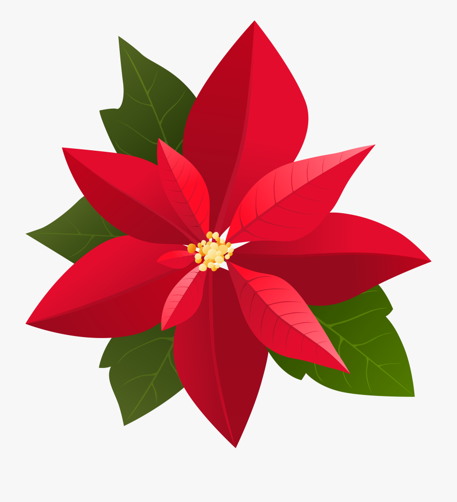 Christmas Poinsettia Png Clip Artu200b Gallery Yopriceville, Transparent Clipart