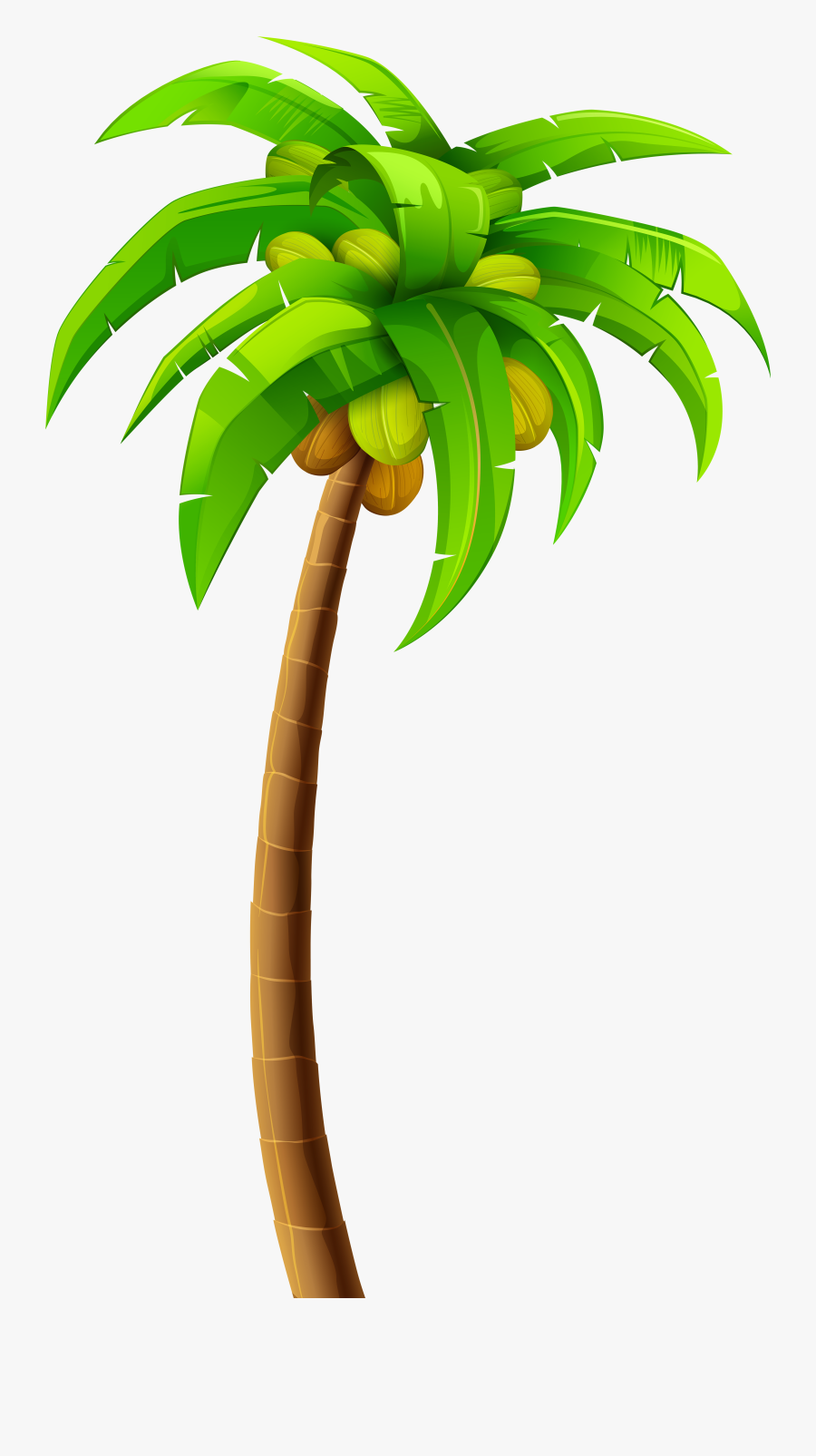 Plant,tree,leaf,clip Art,palm Plant,terrestrial Plant,plant - Palm Tree Clipart Png, Transparent Clipart