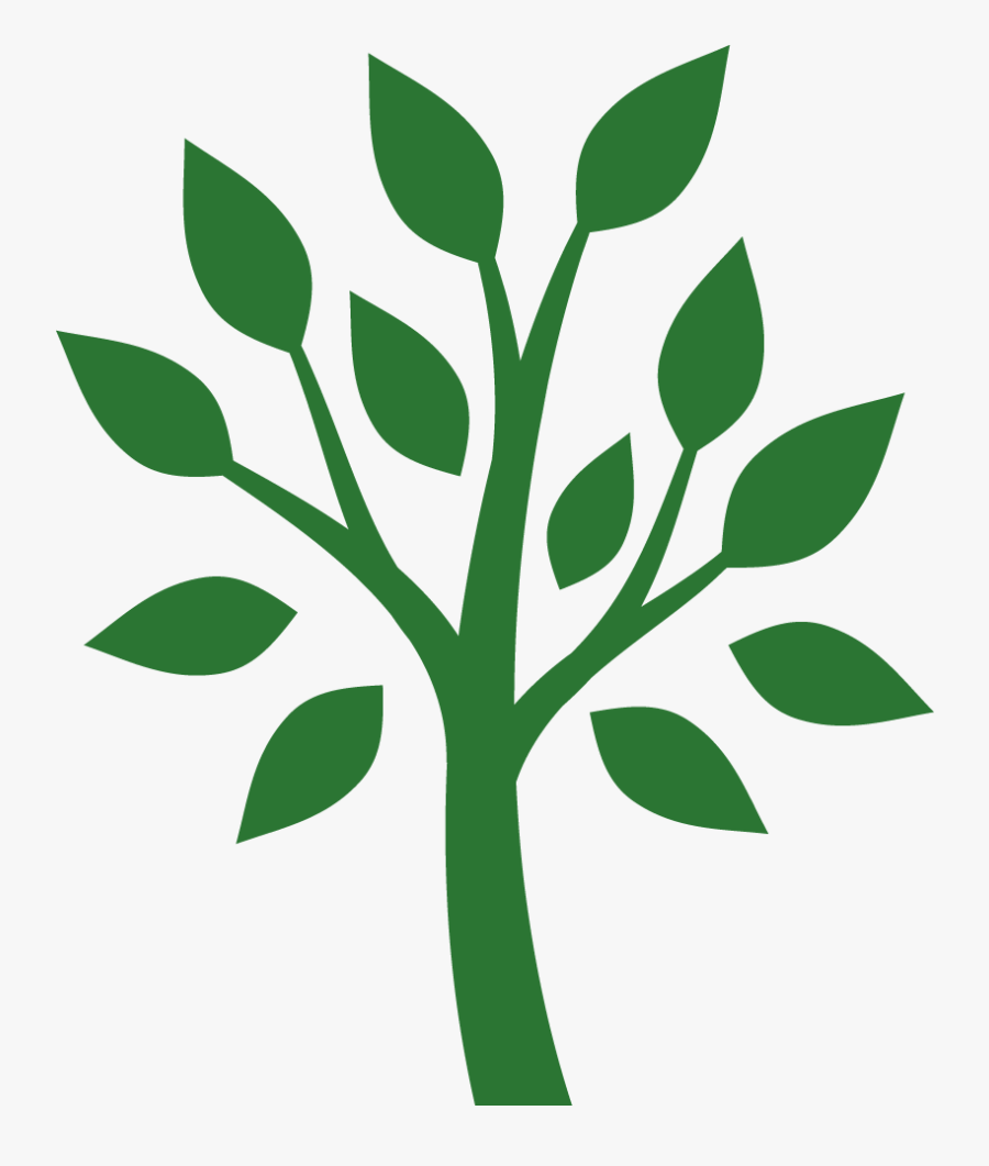 Transparent Plant Stem Clipart, Transparent Clipart