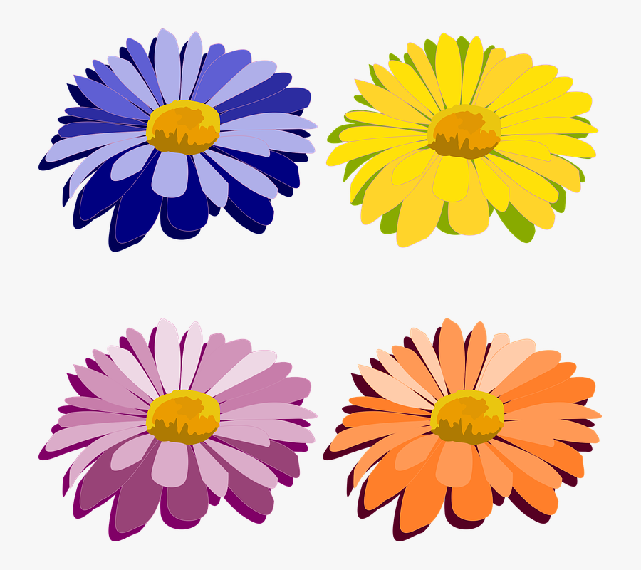 Clip Art, Flor, Flora, Flores, Flower, Nature, Plant - Clip Arts Design, Transparent Clipart