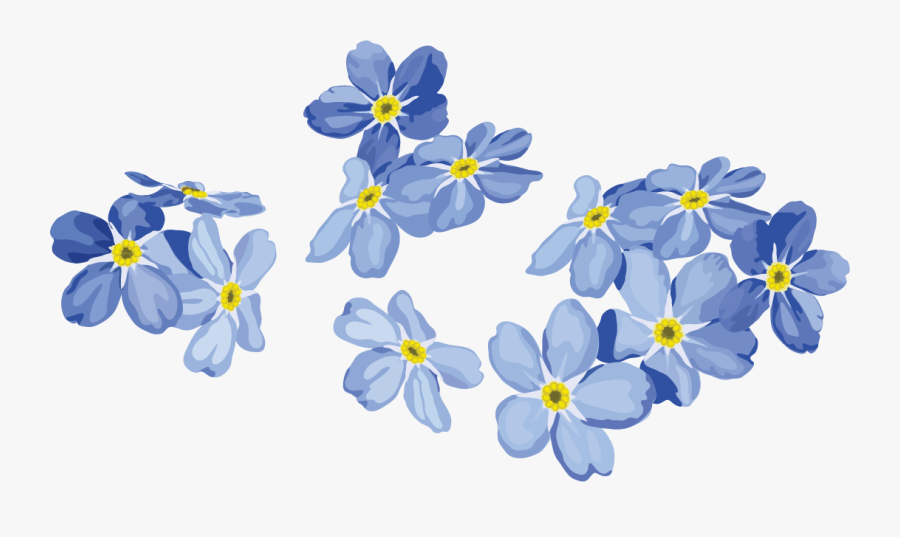 Plant,clip Art,forget Me Family - Forget Me Not Flower Transparent, Transparent Clipart